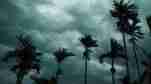 Weather Forecast