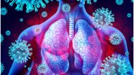 Mystery Respiratory Virus,new virus in hyderabad today,h3n2 virus symptoms,Mystery Respiratory Virus Evades Testing