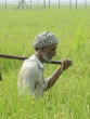 post office kisan vikas patra scheme Money Double yojana benefits