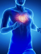 World Heart Day 2023 know how to keep heart healthy prevent heart attack and cardiac arrest