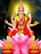 shukrawar ke upay