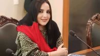 Hareem Shah