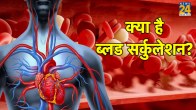 treatment for poor circulation in hands and feet,what are the symptoms of poor blood circulation in the legs,how to improve poor blood circulation,poor blood circulation in legs,symptoms of poor blood circulation to the brain,how to treat poor circulation in feet,poor blood circulation in hands,blood circulation in heart,blood circulation in human body,blood circulatory system,systemic circulation,blood circulation in heart steps,circulatory system function