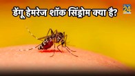 dengue shock syndrome treatment,dengue hemorrhagic shock management,dengue shock syndrome symptoms,dengue shock syndrome who guidelines,dengue shock syndrome criteria,dengue shock syndrome pdf,dengue shock syndrome survival rate,dengue shock syndrome fluid management,dengue shock syndrome survival rate,dengue shock syndrome in pediatrics,dengue shock syndrome criteria