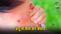 7 warning signs of dengue fever,complications of dengue fever,dengue causes,dengue fever treatment,pathophysiology of dengue fever,dengue symptoms,dengue hemorrhagic fever,is dengue contagious,dengue prevention,7 warning signs of dengue fever,dengue is caused by which virus,dengue symptoms,dengue is caused by which mosquito,dengue virus,types of dengue,dengue treatment