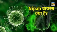 nipah virus treatment,nipah virus symptoms,nipah virus in india,nipah virus outbreak,nipah virus transmission,nipah virus vaccine,nipah virus symptoms and treatment,nipah virus origin,nipah virus symptoms and treatment,nipah virus treatment,what is the first symptoms of nipah virus,nipah virus prevention,nipah virus vaccine,nipah virus symptoms in hindi,nipah virus incubation period,nipah virus transmission