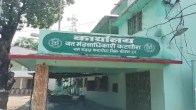 Korba Elephants Attack, Elephants Attack News, Chhattisgarh Elephants Attack News, Chhattisgarh News, Korba News