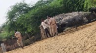 Rajasthan Suicide news, Suratgarh Suicide news, Rajasthan Crime News, Rajasthan News, Suratgarh News