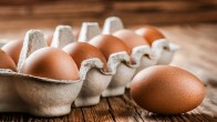 Egg Storage