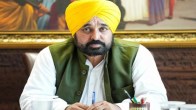 CM Bhagwant Mann, Paddy Purchase, Punjab government, Punjab News, Chandigarh News