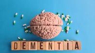 low-fat diet and alzheimer's disease,low-fat diet and dementia,high-fat diet and alzheimer's,saturated fats dementia,saturated fat and alzheimer's disease,correlation between alzheimer's and diet