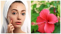 FLOWER FACEPACK