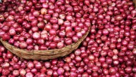 Government Selling Onion Low Price Delhi NCR Price Rise