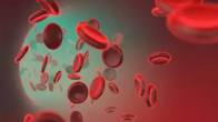 Cancer Cells Research Report