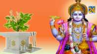 Kartik Maas 2023 Tulsi Puja Mistakes