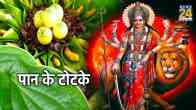 Paan Ke Totke