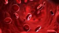 Platelets, Platelets Decrease, Health, Health Tips, Hindi News, Health News, Platelets Symptoms
