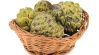 best time to eat custard apple,Custard apple side effects on face,Custard apple side effects in pregnancy,Custard apple side effects for female,is custard apple seeds poisonous,custard apple benefits,what are the benefits of custard apple leaves,custard apple uses