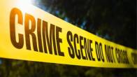 Tamil Nadu Woman Sets Herself On Fire With Two Daughters In Lap