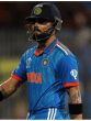 Most runs in ODI World Cup