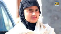 Muzaffarnagar murder case, Farmani Naaz