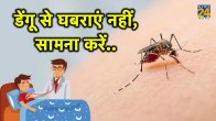Gill dengue update,Shubman gill health condition,Shubman gill update7 warning signs of dengue fever,signs of recovery from dengue,dengue platelet recovery time,dengue treatment,dengue fever recovery food,is itching a sign of recovery in dengue,dengue fever temperature pattern,dengue recovery rate