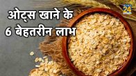 Consuming Oats