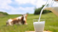 Milk Testing Kit