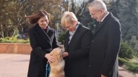 Moldova,Austria,Slovenia,Dogs,Animal behaviour,Europe,European Union,Animals