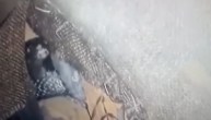 Cobra Snake Came out From Sofa In Kota House