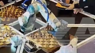 South Korea, robot, artificial intelligence, Black Pepper, Robot Crushed Man