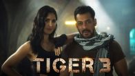 Tiger 3