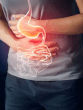 digestive system