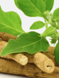 benefits of Ashwagandha