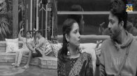 Couples Fighting In Bigg Boss 17