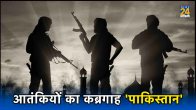 Terrorist
