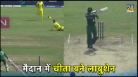 Marnus Labuschagne Najmul Hossain Shanto Mahmudullah Run Out Bangladesh vs Australia ODI World Cup 2023 Watch Video