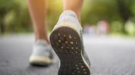 exercise kills cancer cells how does exercise reduce cancer risk best exercise to prevent cancer best exercise for colon cancer patients what is the best exercise for cancer patients? exercise and cancer survival how does physical inactivity cause cancer does exercise make cancer spread faster
