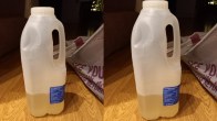 Online Order Delivery Mistake