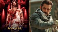 Movies Shows Run 24x7