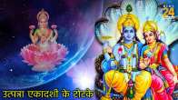 Utpanna Ekadashi Totke