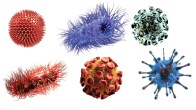next pandemic 2024 new pandemic disease x epidemic nipah virus 2023 new virus news today new pandemic 2023 pandemic definition marburg virus
