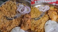 Online ऑर्डर कर मंगाई बिरयानी, खाना खाते समय निकल गई छिपकली, Video