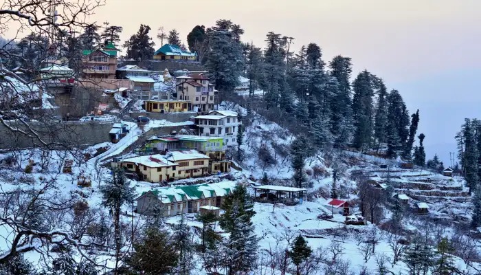 shimla