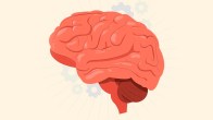 brain health tips, health tips in hindi, 10 ways to keep your brain healthy, how to improve brain function and memory, increase brain power in 7 minutes, brain stimulating activities, what are the 7 ways to keep your brain healthy,