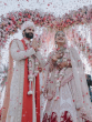 animal mukti mohan wedding