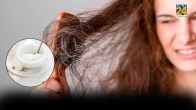 Homemade hair care tips, Hair care tips in winter, Winter season hair care, Hair care, Hair, Beauty tips, Home remedies for hair, Winter Season Hair Care, Winter hair care tips home remedies, Winter hair care tips at home, winter hair care routine home remedies, winter hair care tips for black hair, winter hair care products, winter hair care mask, winter hair care tips in hindi, hair growth in winter