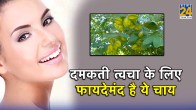 Tea made from arjuna bark in india, Tea made from arjuna bark for weight loss, Tea made from arjuna bark benefits, Best tea made from arjuna bark, arjun tea side effects, arjun tea benefits, arjuna bark tea recipe, arjun tea ingredients, tea made from arjuna bark, arjuna bark tea, skin care tips, drink for healthy skin