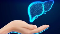 liver disease cold chills liver and body temperature regulation does liver failure cause low body temperature cirrhosis and feeling cold liver is affected by flu liver heat symptoms liver disease and heat intolerance