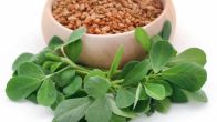methi leaves side effects can we eat methi leaves at night methi leaves is heat or cold for body how to eat methi leaves fenugreek leaves methi leaves benefits methi leaves benefits for hair methi leaves in english